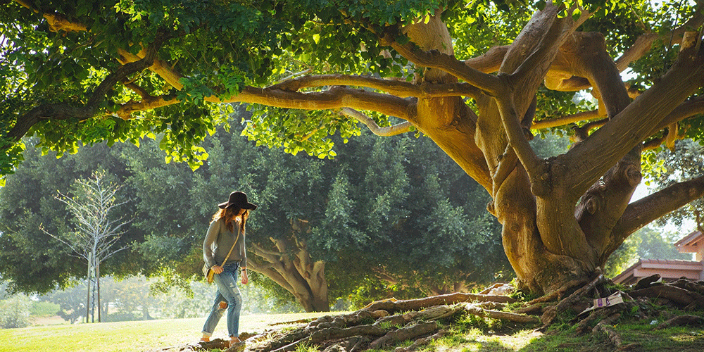 Психологическое здоровье: самоанализ и критерии оценки